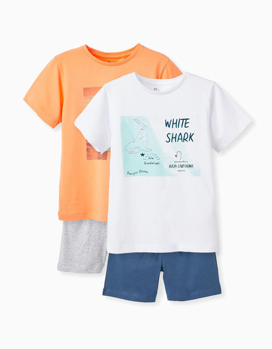 2 Cotton Pyjamas for Boys 'California', Multicolour