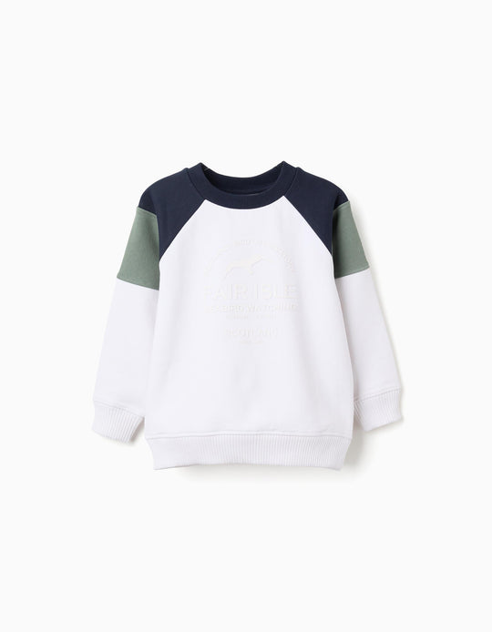 Brushed sweatshirt with contrast sleeves for boys, multicolour