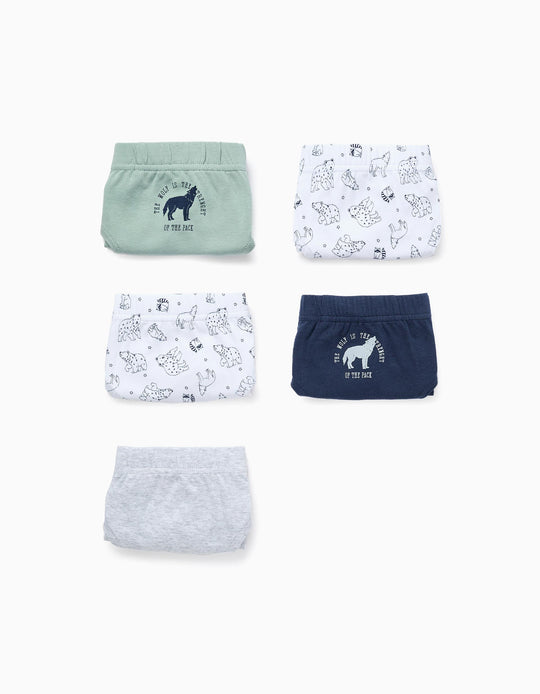 Pack of 5 Briefs for Boys 'Wolves & Bears', Multicolour