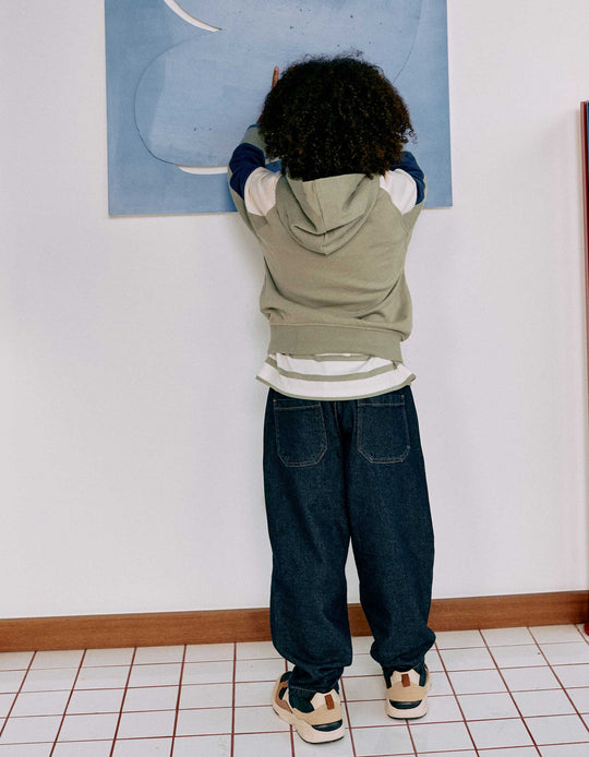 Hooded Cotton Sweatshirt For Boys, Green/Beige/Blue