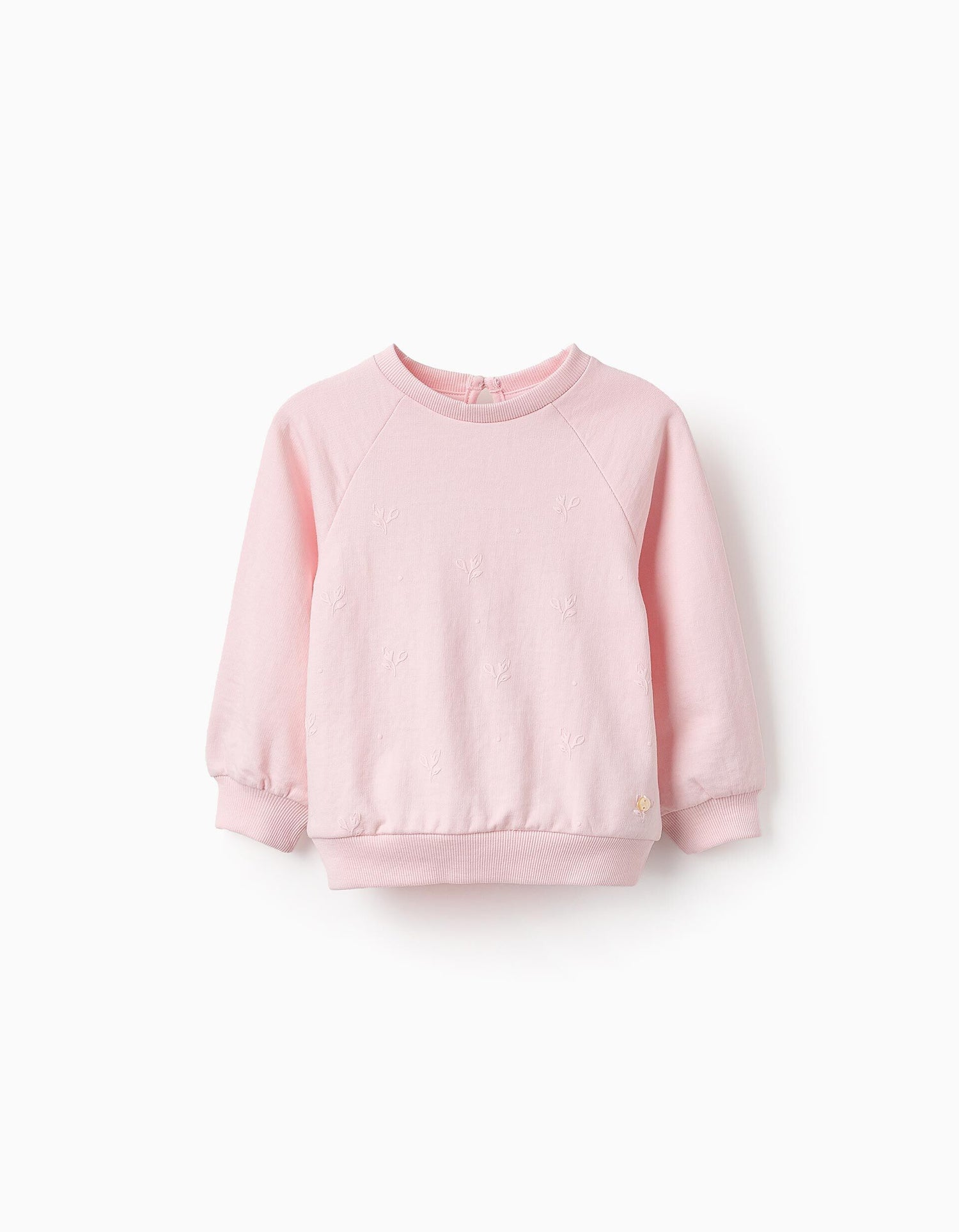 Shop Our Products Now